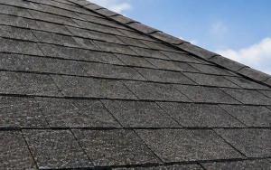 Shingle Roof Coatings Shingle Roof Coatings